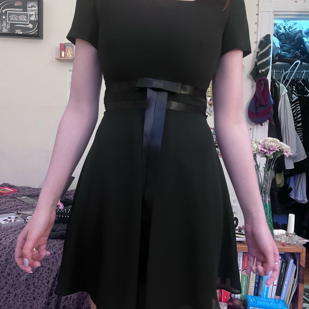VINTAGE BALLERINA DRESS - Picture 5 of 5
